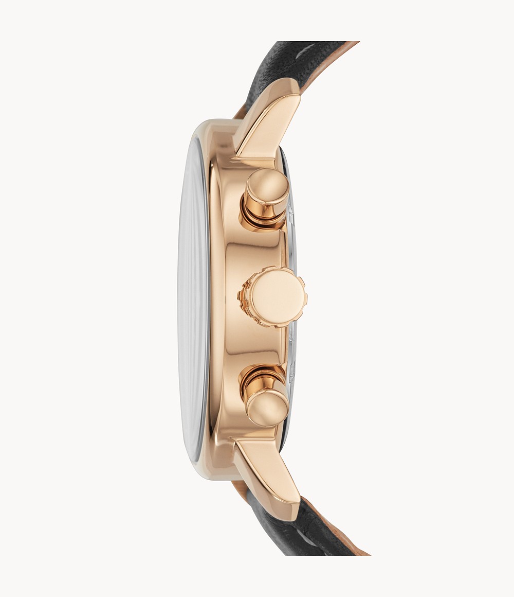 Fossil Rhet 1